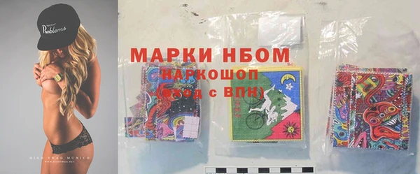 гидра Арсеньев
