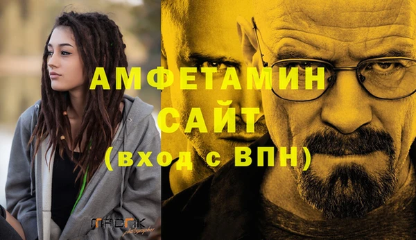 гидра Арсеньев