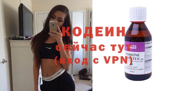 гидра Арсеньев