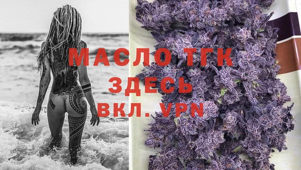 гидра Арсеньев