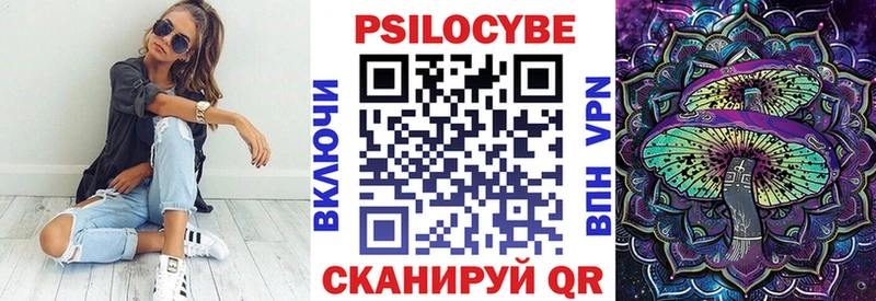 купить наркотики сайты Пучеж Псилоцибиновые грибы Psilocybe